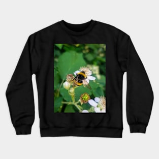 Bumblebee Crewneck Sweatshirt